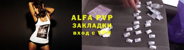 мдпв Бородино
