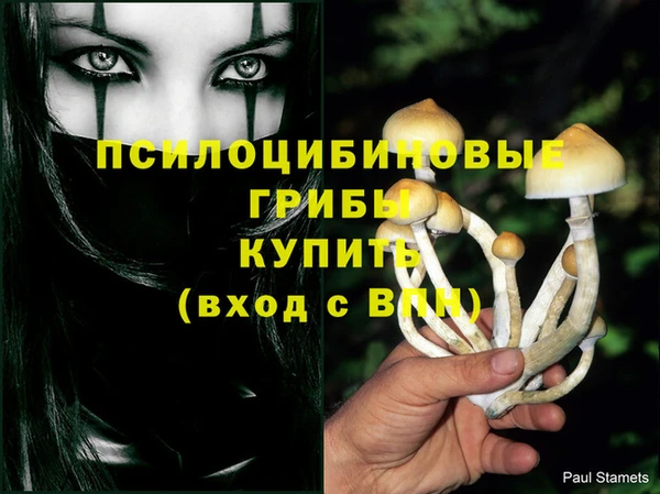 каннабис Володарск
