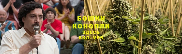 стаф Волоколамск