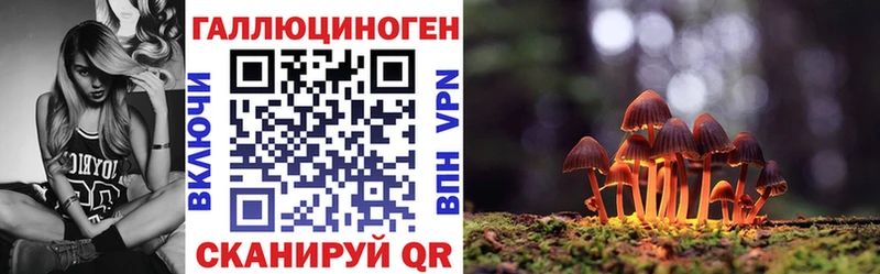 Псилоцибиновые грибы Cubensis  Новоржев 